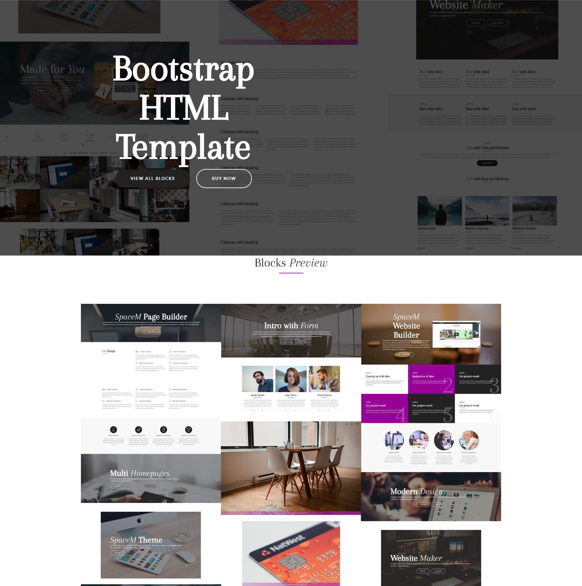 Free Bootstrap SpaceM Themes